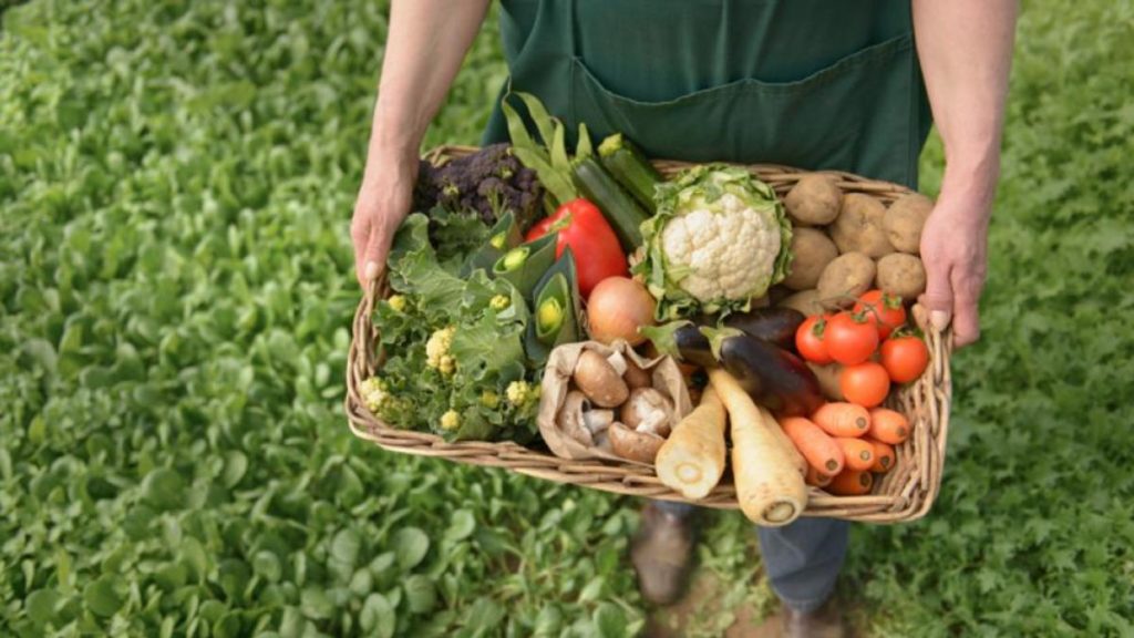 Agricultura Ecológica