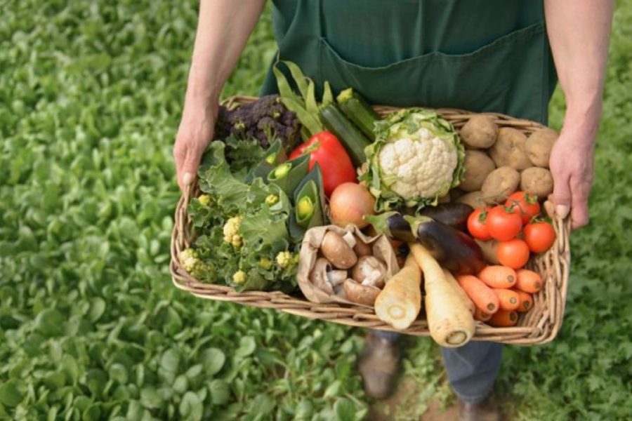 Agricultura Ecológica