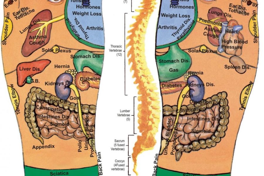 reflexología podal
