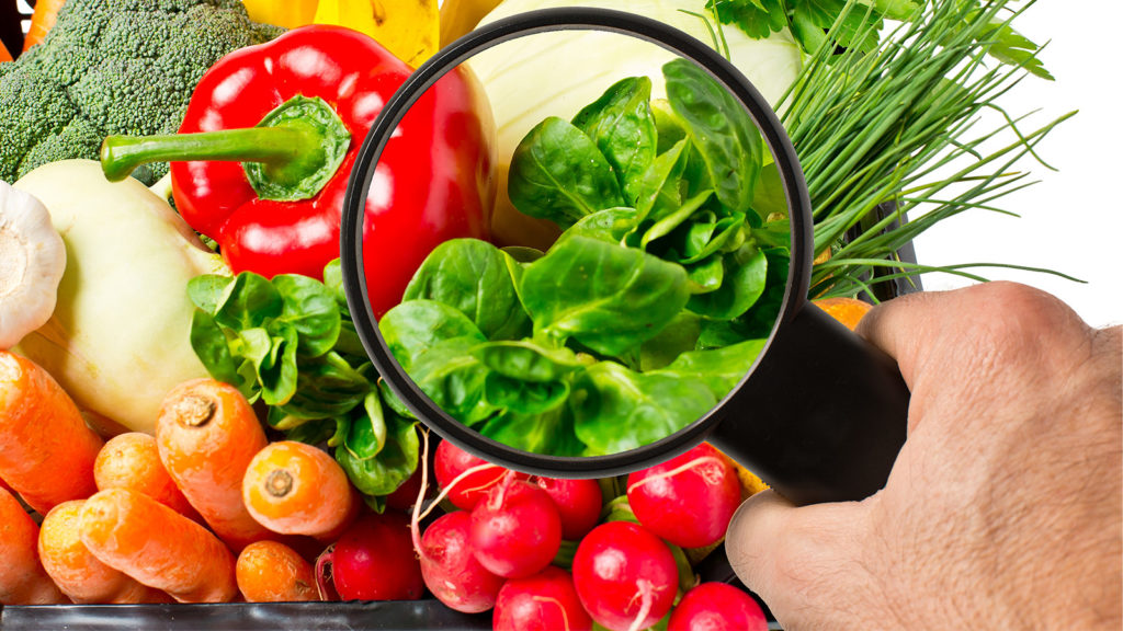 Seguridad Alimentaria